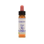 Healing Herb Bach Cerato | Buy Online in Ireland