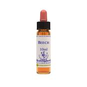 Healing Herb Bach Beech | Buy Online in Ireland