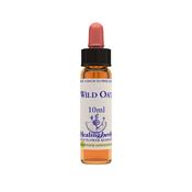 Healing Herbs Bach Wild Oat | Buy Online in Ireland