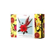 Trilogy The Plumping Ritual Gift Set | Buy Online in Ireland image