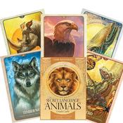 Oracle The Secret Language of Animals | Buy Online in Ireland