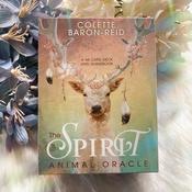 Oracle Cards The Spirit Animal Oracle | Buy Online in Ireland