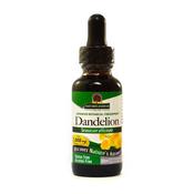 Nature's Answer Dandelion Root Tincture (Alcohol Free) | Buy Online in Ireland