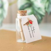 Remembrance Robin Message in a Bottle | Buy Online in Ireland