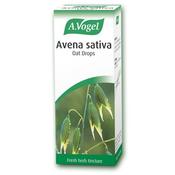 A. Vogel Avena Sativa | Buy Online in Ireland