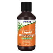 Now Foods Chlorophyll Liquid | Buy Online in Ireland