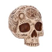 Figurine Apothecary Skull 14cm | Buy Online in Ireland
