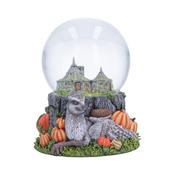 Snow Globe Harry Potter Hagrids Hut | Buy Online in Ireland