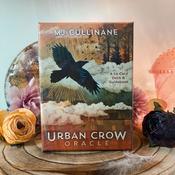Oracle Cards Urban Crow | Buy Online in Ireland