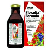 Salus Floradix Liquid Iron and Vitamin Formula image