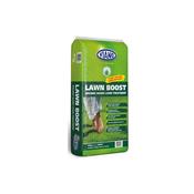 Viano Lawn Boost Lawn Treatment 10KG image