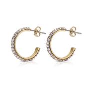 Hoop Earrings with Golden Honey Stones image
