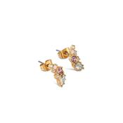 Stud Earrings with Mixed Stones image