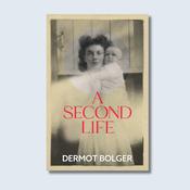 A Second Life — New Island Books