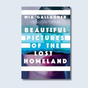 Beautiful Pictures of the Lost Homeland — New Island Books image