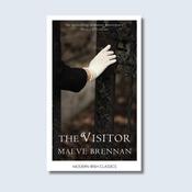 The Visitor — New Island Books