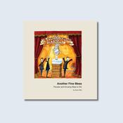 Another Fine Mess: Peculiar and Amusing Ways to Die — New Island Books