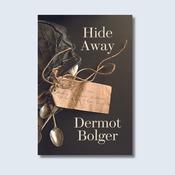 Hide Away — New Island Books