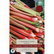 Rhubarb 'Timperley Early' Bulb