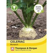 Celeriac 'Monarch'