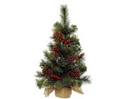 75 cm Ipswich Frosted Mini Christmas Tree image