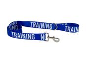 Ancol 40mm Awareness Lead Blue-Training image