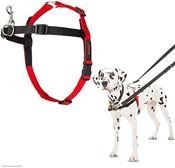 Halti Harness Medium Black and Red image
