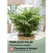 Parlour Palm Seeds