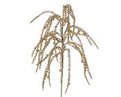 Light Gold Christmas Spray on Stem 75 cm image