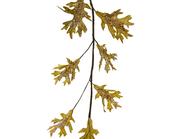 Decorative Oak Leaves Garland in Pistachio (120x3cm) image