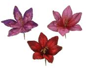 Amaryllis Flower on Clip 23 cm Assorted Velvet image