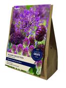 Allium Collection - Garden Greats (40 Bulbs Per Pack) image