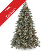 7.5 Foot Frosted Colorado Spruce Pre-Lit With 700 Warm White Lights image