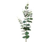 Artificial Eucalypthus Stem image