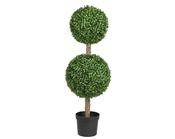 boxwood ball tree dia23 H80cm image