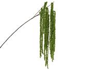 Spray stem green image