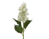 Hydrangea stem crm