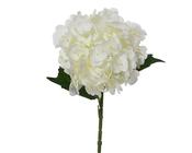 Hydrangea real touch