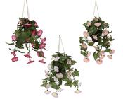 Plant petunia - sold separately image