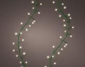 960 Warm White LED Compact Lights – 12 m image