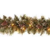 9 Foot Pre-Lit Glittery Bristle Pine Artificial Christmas Garland - 50 Warm White LEDs image