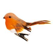 Robin On Clip image