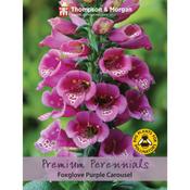 Foxglove Purple Carousel
