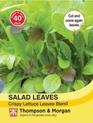 Salad Leaves Crispy Lettuce Blend