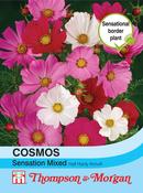 Cosmos Sensation Mix