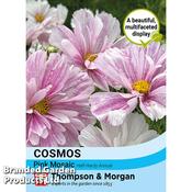 Cosmos 'Pink Mosaic' image