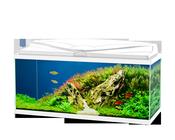 Ciano Aquarium Aqua 60 With Lights &amp; White Lid (60cm x 30cm x 33.5cm With CFBIO 58 Litre 80 Filter) image