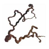 Barcoded Wine Wood L80 - 100cm