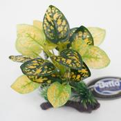 Betta Choice 5" Green &amp; Yellow Plant on Driftwood