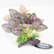 Betta Choice 5" Purple Plant on Driftwood